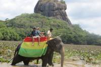 6-Night Honeymoon Package including Romantic Candlelight Dinner at Mangrove Cave