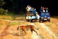 6-Nights Golden Triangle Tour with Ranthambore from Delhi