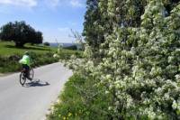7-Day Sicily Bike Tour of the Baroque Hill Towns from Palazzolo
