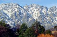 7-Day South Island Coastal Splendor Tour from Christchurch