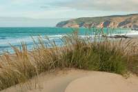 8 Days and 7 Nights Surf Family in Cascais