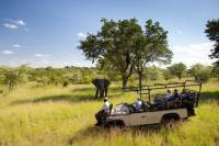 8-Day Cape Town and Garden Route Tour from Cape Town