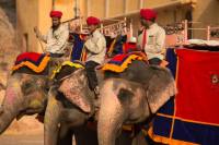 8-Day Golden Triangle Tour with Royal Rajasthan