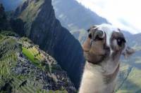 8-Day Private Tour of Lima and Cusco