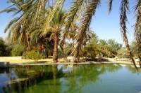 8-Day Siwa Oasis Explorer Tour from Cairo