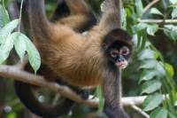 8-Day Wildlife Photography Tour with a Professional Photographer from Cancun