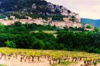 9 Hour Wine tour in Lyon