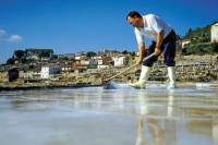 Añana Salt Valley and Vitoria Private Tour from Bilbao