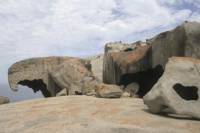 Adelaide Super Saver: Kangaroo Island Tour Plus Adelaide City Sightseeing