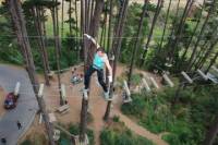 Adrenalin Forest Obstacle Course in Christchurch
