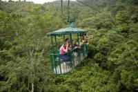 Aerial Tram and Zipline Tour from Jaco