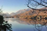 Afternoon Killarney Highlights Tour