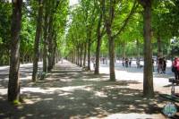 Afternoon Leisure Walk in Paris: Churches and Gardens