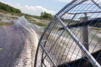 Airboat Adventure from Crystal River