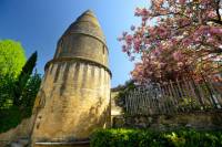 All Dordogne visit in a day