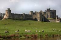 Alnwick Castle and the Scottish Borders Day Trip from Edinburgh