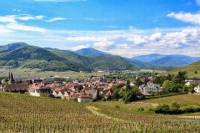 Alsace Villages and Wine Day Trip from Strasbourg