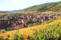 Alsace Wine Route: Tasting Tour from Strasbourg