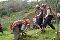 Amaru Community Visit Including Weaving Workshop