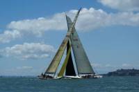 America's Cup Sailing on Sydney Harbour