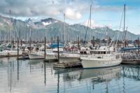 Anchorage Shore Excursion: Pre-Cruise Transfer and Tour from Anchorage to Seward