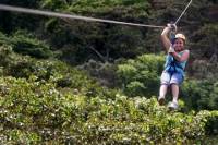 Apaneca Zipline Adventure with Optional Flowers Route Tour