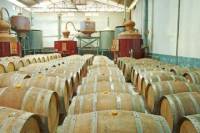 Appleton Estate Rum Tour from Negril