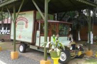 Appleton Rum and YS Falls Tour from Montego Bay and Grand Palladium