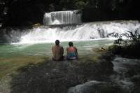 Appleton Rum, YS Falls and Black River Safari Combo Tour from Falmouth