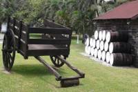 Appleton Rum, YS Falls and Black River Safari Combo Tour from Montego Bay and Grand Palladium