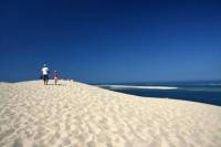 Arcachon Half-Day Trip from Bordeaux Including Pyla Dune and Oyster Tasting