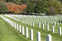 Arlington Cemetery Tour and Washington DC City Sightseeing