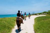 Aruba Horseback Riding and Snorkeling Tour