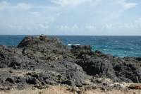 Aruba Island Sightseeing Tour Plus Arashi Beach Visit