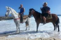 Aruba Small-Group Horseback-Riding Beach Tour