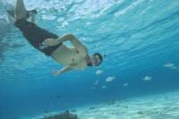 Aruba Snorkel Cruise to SS Antilla with Lunch