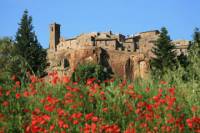 Assisi and Orvieto Day Trip from Rome