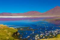 Atacama Salt Flat Lagoons Tour Including Ojos del Salar from San Pedro de Atacama
