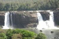 Athirappilly Falls Day Tour from Kochi