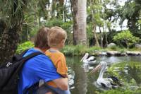 Attica Zoological Park with Optional Shopping Experience and Private Transport from Athens