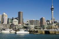 Auckland City Highlights Tour
