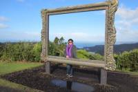 Auckland Highlights combined with Wilderness Experience Eco-Tour