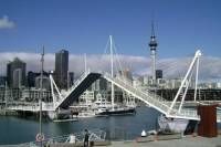 Auckland Shore Excursion: Small-Group Auckland City Tour