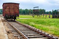 Auschwitz-Birkenau Museum Half-Day Bus Tour from Krakow