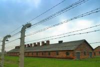 Auschwitz-Birkenau Tour from Warsaw with Private Round-Trip Transport