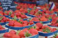 Avignon Food Walking Tour