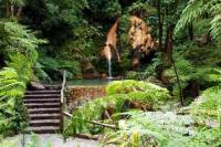 Azores Sightseeing Tour