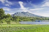 Bali Highlights Tour