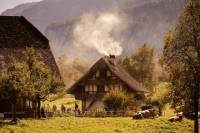 Ballenberg Swiss Open-Air Museum: Individual Tour Through Rural Life of Bygone Times