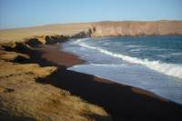 Ballestas Islands and Paracas National Reserve Day Trip from Paracas